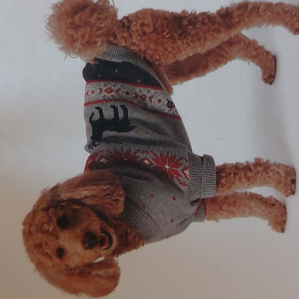 Dog Crew Neck Xmas Sweater - NWT